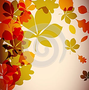 Autumnal background photo