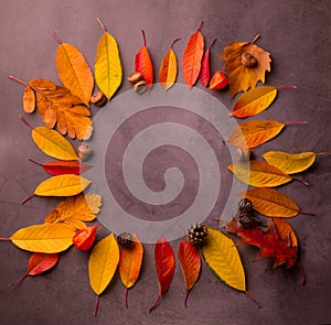 Autumnal background with Vivid Red Leaves on a Grunge grey background. Good For Autumn Seasonal Background.