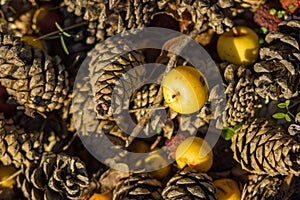 Autumnal backgrounds with yellow apple