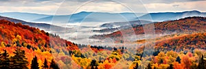 autumnal beauty of dense forests from above, showcasing the vibrant colors of changing leaves and the patterned canopy