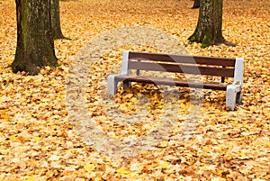 Autumnal bench