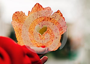 Autumnal bright leaf