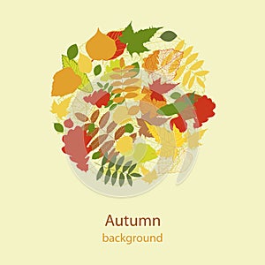 Autumnal bright leaf background vector