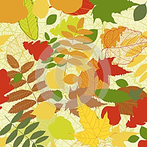 Autumnal bright leaf background vector