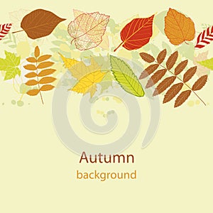 Autumnal bright leaf seamless vector