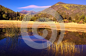 Autumnal color at Lockett Meadow, San Francisco Peaks, Arizona photo