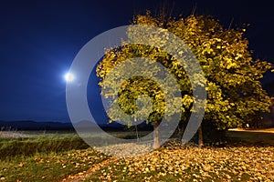 Autumnal Evening at Moonlight, Turiec Region, Slovakia