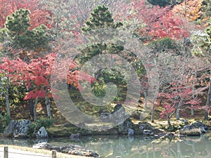 Autumnal colors by lake in Kyoto temple garden