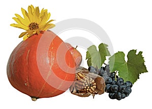 Autumnal composition of fruit and vegetables isolated