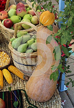 Autumnal concept with variety of fruit in a basket shot outdoor