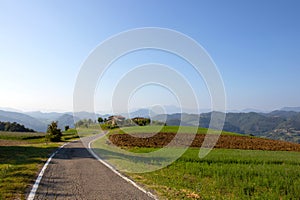 Autumnal country road with colorful trees and grass in the background