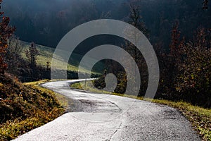 Autumnal country road with colorful trees and grass in the background