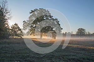 Autumnal dawn over rural meadows.