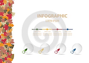 Autumnal decoration infographics vector