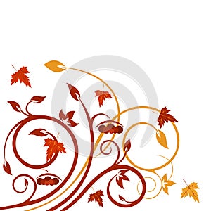 Autumnal design photo