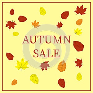 Autumnal discount. Vector fall leaf isolated on white background