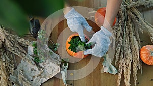 Autumnal DIY garden decoration. Woman planting succulent in pumpkin flowerpot.