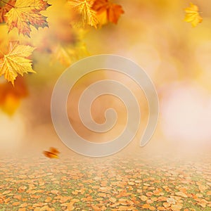 Autumnal fall. Beautiful seasonal backgrounds