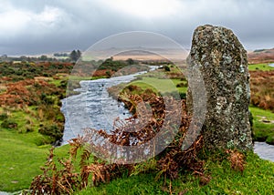 Autumnal Fern & Moorland Rock in the Foreground of the Hills of Dartmoor and the River Plym 1 of 3