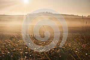 Autumnal foggy sunrise landscape