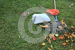 Autumnal foliage, fan rake, gloves and pack of fertilizer are on the lawn