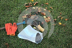 Autumnal foliage, fan rake, gloves and pack of fertilizer are on the lawn