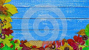 Autumnal frame on blue wooden background , stop motion animation