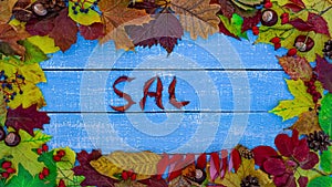 Autumnal frame on blue wooden background with text announcement Sale, stop motion animation