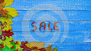 Autumnal frame on blue wooden background with text announcement Sale, stop motion animation