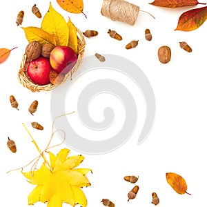 Autumnal frame composition. Fall leaves, apple, acorns on white background. Autumn, thanksgiving day concept. Flat lay