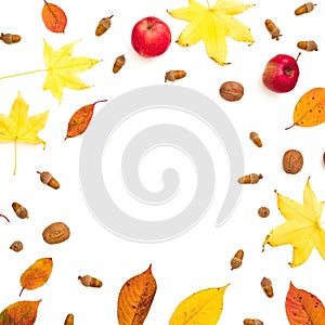 Autumnal frame composition. Fall leaves, apple, pine cones on white background. Autumn, thanksgiving concept. Flat lay