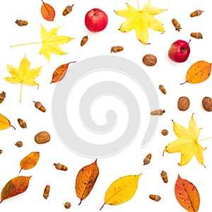 Autumnal frame composition. Fall leaves, apple, pine cones on white background. Autumn, thanksgiving concept. Flat lay