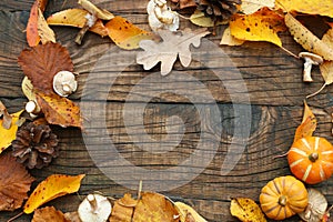 Autumnal frame with dried leaves, pumpkins and mushrooms, autumn harvest decorations