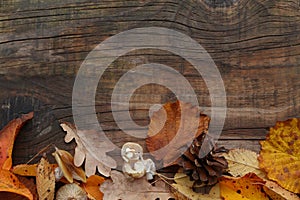 Autumnal frame with dried leaves, pumpkins and mushrooms, autumn harvest decorations