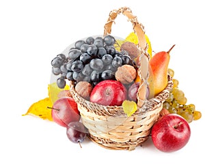 Autumnal fruit in basket photo