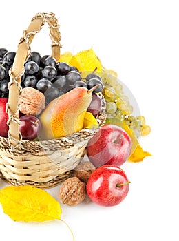 Autumnal fruit in basket