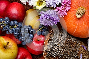 Autumnal fruits and vegetables