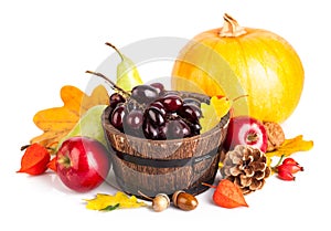 Autumnal harvest fruit and vegetables