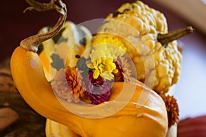 Happy Thanksgiving Centerpiece Decoration with Mums