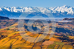 Autumnal hills and snowy mountains in Piedmont, Italy.