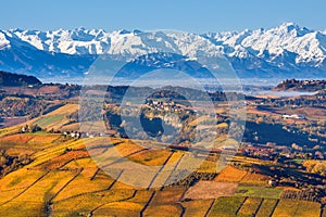 Autumnal hills and snowy mountains in Piedmont, Italy. photo