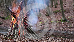 Autumnal Inferno: Bonfire Roaring, Echoing Fall's Majesty