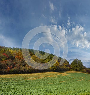 Autumnal landscape