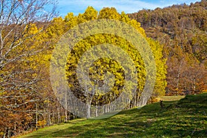 Autumnal landscape in the Aveto Regional Natural Park, Genoa province, Liguria, Italy