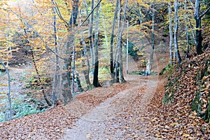 Autumnal landscape at Carona