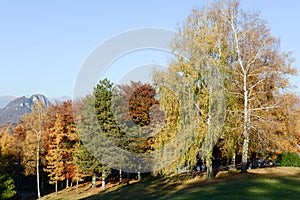 Autumnal landscape at Carona photo