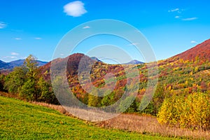 Autumnal landscape in carpathian mountains