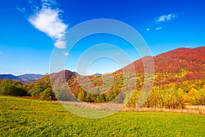 autumnal landscape in carpathian mountains