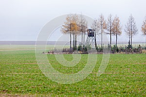 autumnal landscape with a high seat, Czech Republic