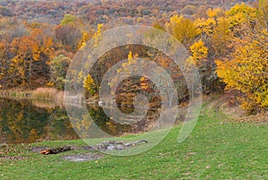 Autumnal landscape on the lakeside